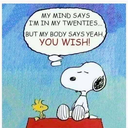 Tecknad hund sitter bredvid fågel och tänker: "My mind says I'm in my twenties... but my body says yeah, you wish!