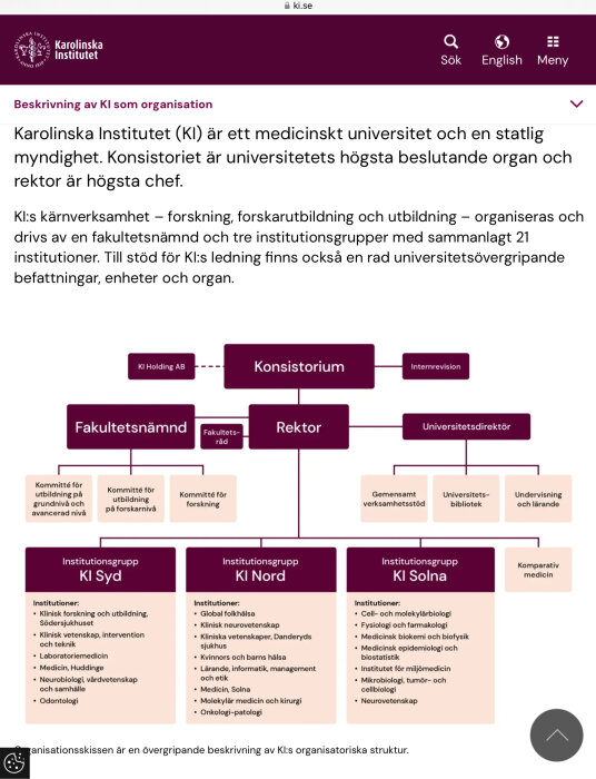 Organisationsschema över Karolinska Institutets struktur inklusive konsistorium, rektor, fakultetsnämnd och olika institutioner som KI Syd, KI Nord och KI Solna.