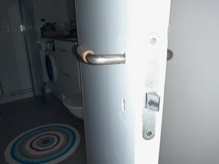 Närbild på en dörr med en metallhandtag och dörrlås, i bakgrunden syns en tvättmaskin och ett badrum.