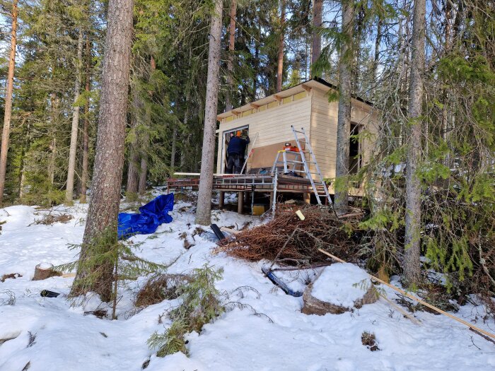 Byggprojekt i skog med del av träbyggnad och verktyg, snötäckt mark och träd runtom. Personen på stege vid husväggen.