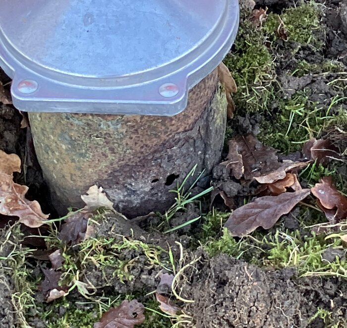 Rostigt brunnslock och rör i marken omgivet av jord och löv, visar skador och erosion på röret.