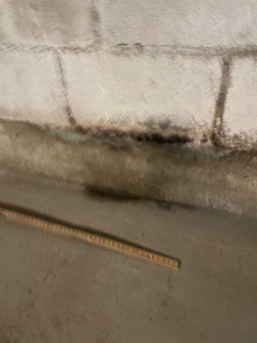 Fuktfläck 30x15 cm på källarvägg brevid en mätsticka på golvet, del av renoveringsprojektet i ett tidigare garage.