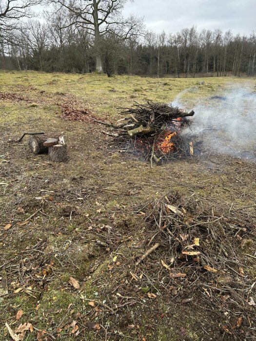 Brasa med brinnande kvistar på en gräsbevuxen äng med bakgrund av kala träd och en yxa placerad på ett trädstamssnitt.