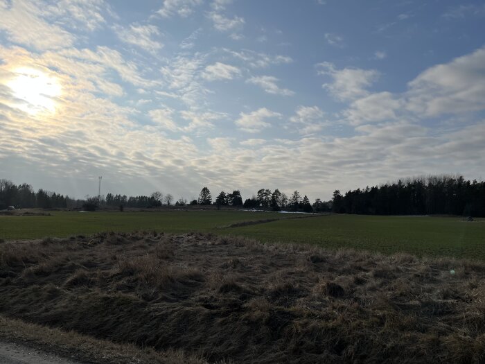 Öppet fält med gräs och buskar, omgärdat av träd, under en molnig himmel med solstrålar som skiner igenom.