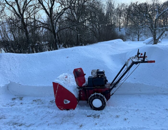 Röd snöslunga står framför höga snödrivor i ett vintrigt landskap med träd i bakgrunden.
