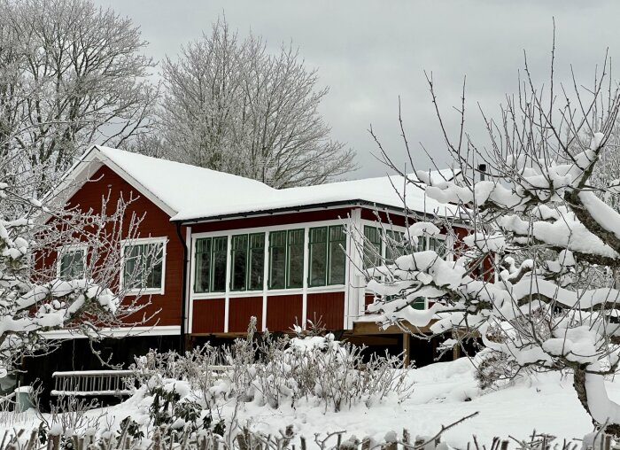 Rött hus med nya spröjsade träfönster i vinterlandskap, snötäckt tak och trädgård, omgiven av snöklädda träd.