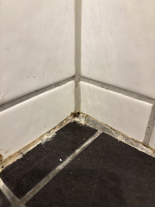 Närbild av ett badrumshörn med vita kakelplattor och mörkt golv, viss missfärgning och slitage i fogarna syns.