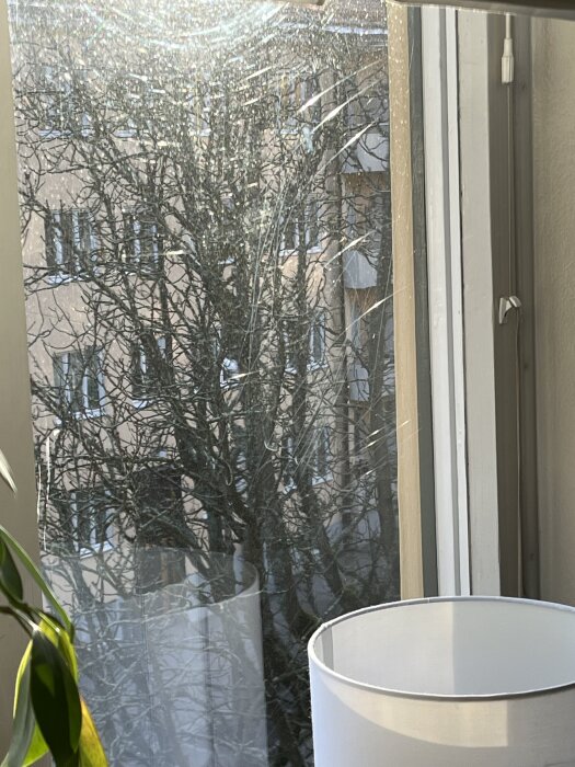 Repat fönsterglas med utsikt över träd och byggnader utanför. En del av en vit lampskärm syns mot glaset.