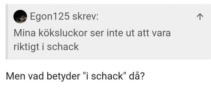 Text där användare Egon125 skriver att deras köksluckor inte är i bra skick, följt av en fråga om uttrycket "i schack".