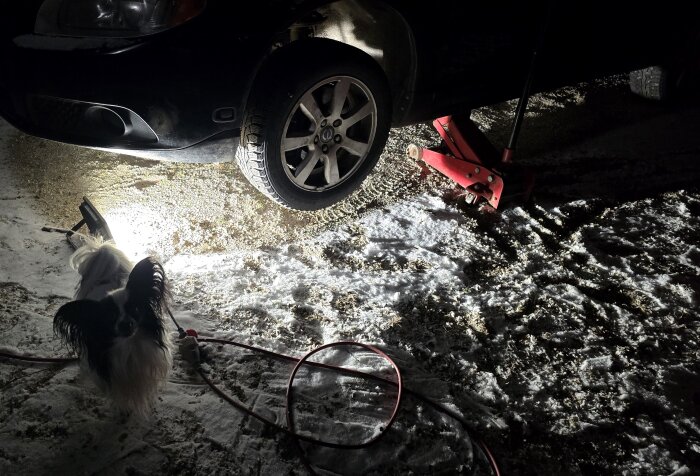 Bil upphissad med domkraft i snötäckt garageuppfart, liten hund vid sidan av bilen, kraftigt lysande lampa.