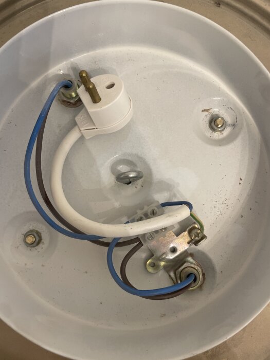 Närbild av lampkontakt med fastsatt blå och brun kabel på en vit yta, eventuellt orsakat elproblemet.