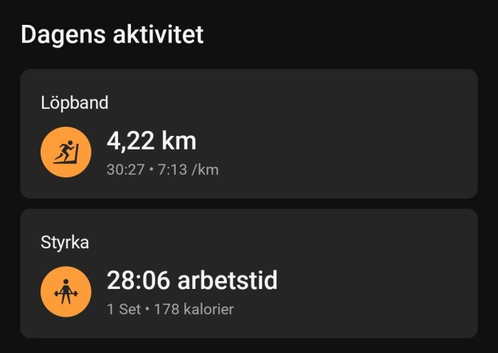 Dagens aktivitet visar löpband 4,22 km på 30:27 min och styrketräning 28:06 min, med 178 kaloriförbrukning.