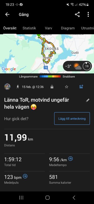 Skärmbild av en motionsapp som visar en 11,99 km lång promenad, 1:59:12 total tid, med 123 bpm medelpuls. Väder: -3°C och soligt.