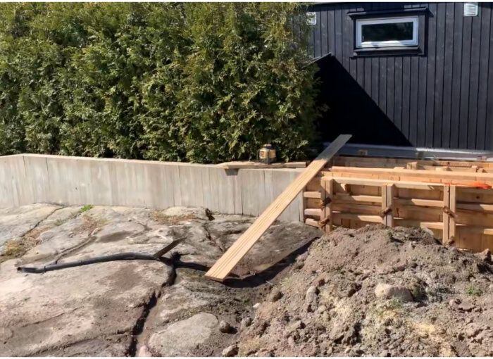 Thuja häck vid en byggarbetsplats. Formning av struktur med brädor och jord i förgrunden, svart husvägg i bakgrunden.