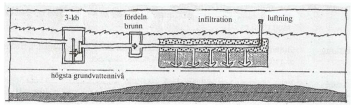 Illustration av infiltrationens system med 3-kb, fördelningsbrunn, infiltration, luftning och grundvattennivå.