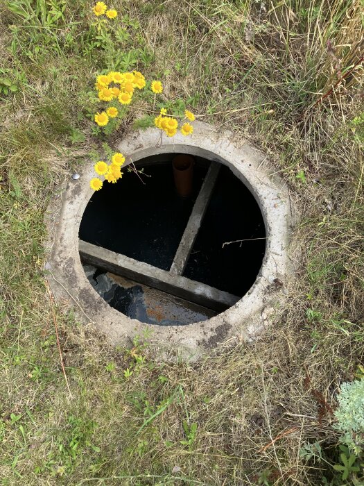 Öppen brunn med växtlighet omkring, synlig insida och rör i marken.