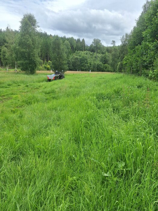 En grönskande äng med en skadad björk och en traktor med släp i förgrunden. Skog i bakgrunden under en molnig himmel.