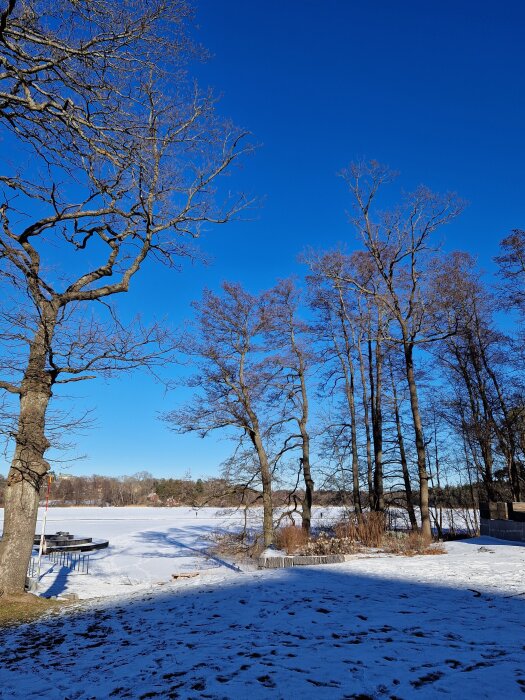 Vinterlandskap med snötäckta träd och en frusen sjö under en klarblå himmel. Skuggor faller över marken.