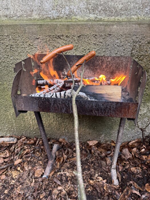 Korvar grillas över öppen eld på en liten metallgrill utomhus, omgiven av fallna löv.