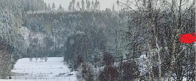 Snöklätt landskap med björkar, berg och ett inhägnat fält. Höjdskillnad syns mellan fältet och ett hus på berget markerat med en röd prick.