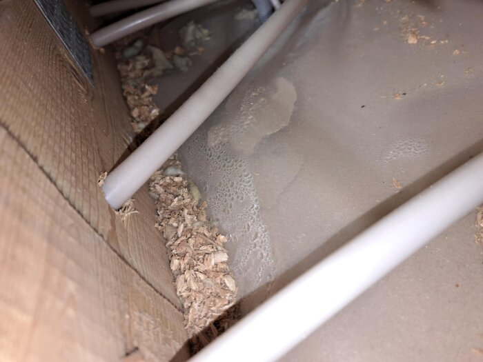 Fuktfläckar och kondens under spärrplast på en vind med trä- och rörinstallationer.