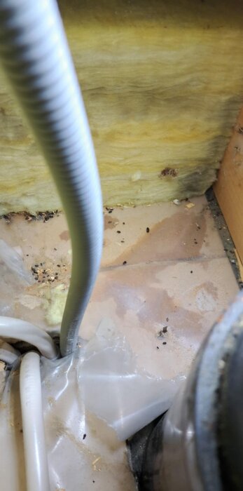 Fuktigt område på vinden med plast, kablar och träbjälke, tecken på fuktskador, relaterat till avstängd ventilation under renovering.