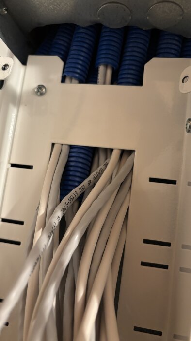 Nätverkskablar och blå plaströr i ett mediaskåp, under installation av Cat6-kablar för bättre anslutning i ett husprojekt.