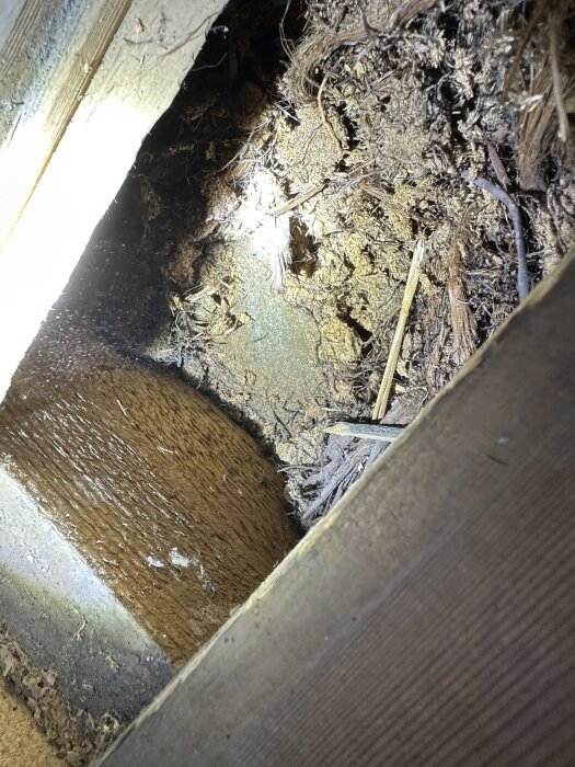 Närbild på sågspån i ett snedtak med ett lager av takpapp underst.