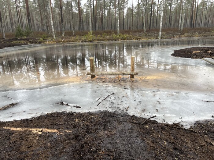 Trästolpar på is vid sjöns kant, med en tvärslå placerad ovanpå, omgivna av tallskog. Syntes av nyis och smältvatten.