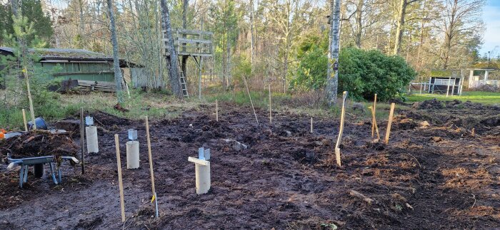 Markberedning med tre betongplintar i en skogstomt, omgiven av träd och en träkoja i bakgrunden. En skottkärra står nära plintarna.