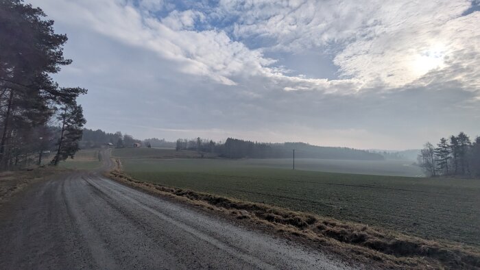 Landskap med en grusväg som slingrar genom gröna fält och går mot en skogskant, under en himmel med moln och solens sken i bakgrunden.