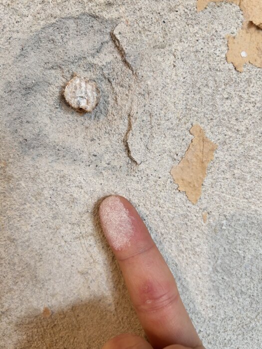 Finger vid porös vägg med gammal tapet och träplugg synlig, visar damm och skada.