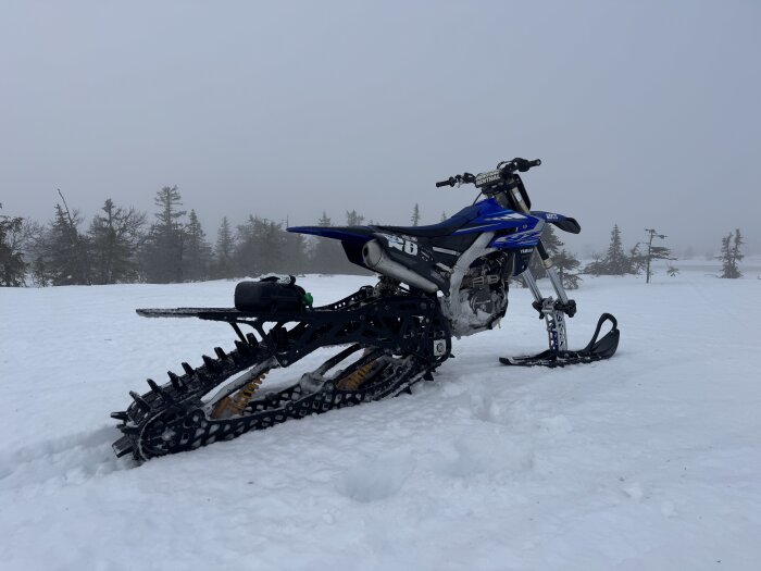 Motorcykel med snöskoterkit står på snöfält med träd i bakgrunden.