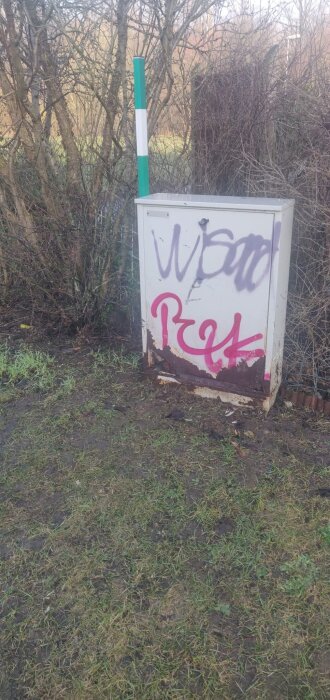 Rostigt skåp med graffiti i ett buskage, visar tecken på slitage och exponering, eventuellt använt för fiberkablar. Oskyddad infrastruktur.