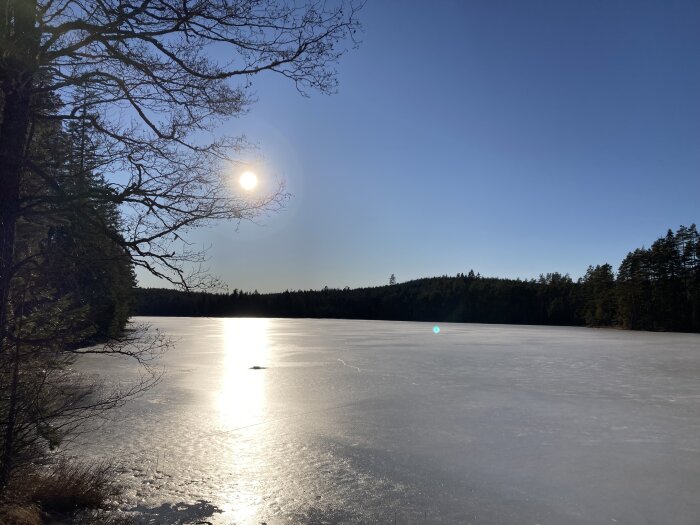 Solen lyser över en frusen sjö, omgiven av skog, med en trädgren som sticker in från vänster sida av bilden.