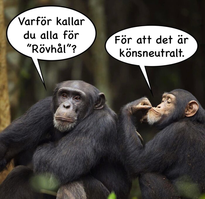 Två schimpanser med pratbubblor; en frågar om "Rövhål", den andra svarar att det är könsneutralt.