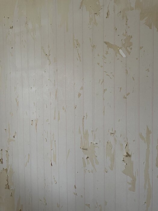 Vägg där tapet delvis avlägsnats, blottar papper på gipsskivan med ojämn yta; bitar av fond- och renoveringstapeter kvarstår.