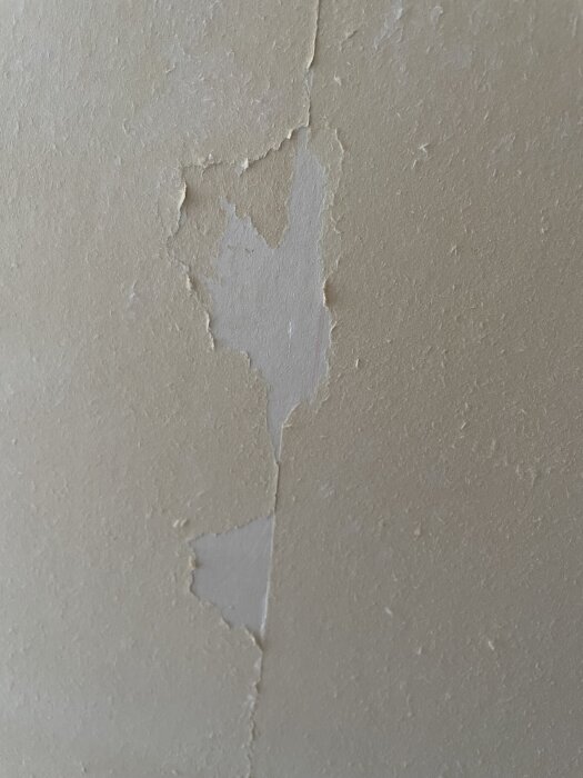 Närbild av en vägg där tapeten delvis lossnat, avslöjande papperet på gipsskivan under.