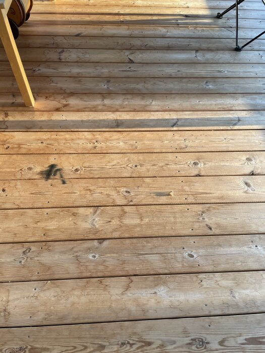 Inglasad altan med trägolv av kärnfuru, visar mörka fläckar och ojämn färg.