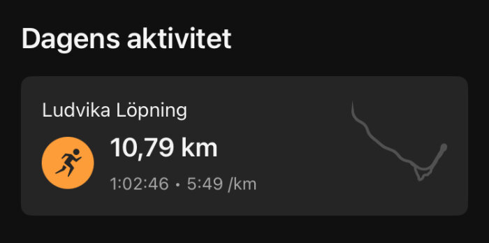 Löpning 10,79 km i Ludvika, tid 1:02:46, tempo 5:49/km, med en karta över löpvägen.