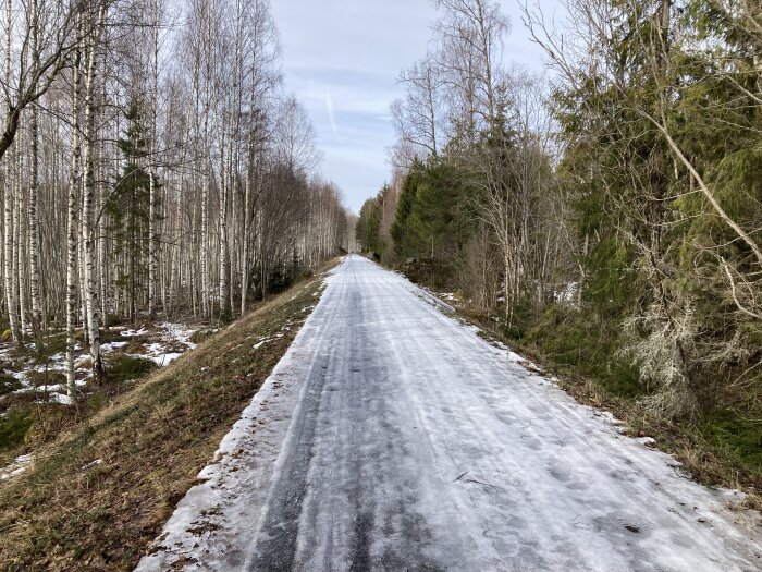 Isig väg omgiven av björkar och barrträd i vintrigt landskap.