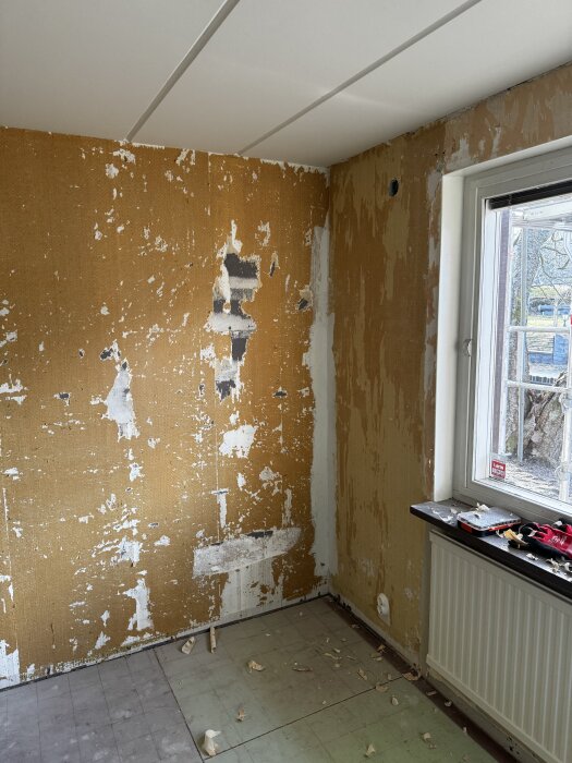 Gästrum med borttagen tapet visar fläckar av blåbetong och sprickor. Fönster med hantverksverktyg syns på fönsterbrädan.