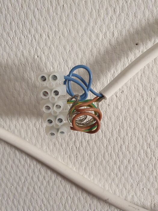 Elinstallation med flera kablar anslutna i en kopplingsdosa, inklusive blå, brun och grön-gul kabel.