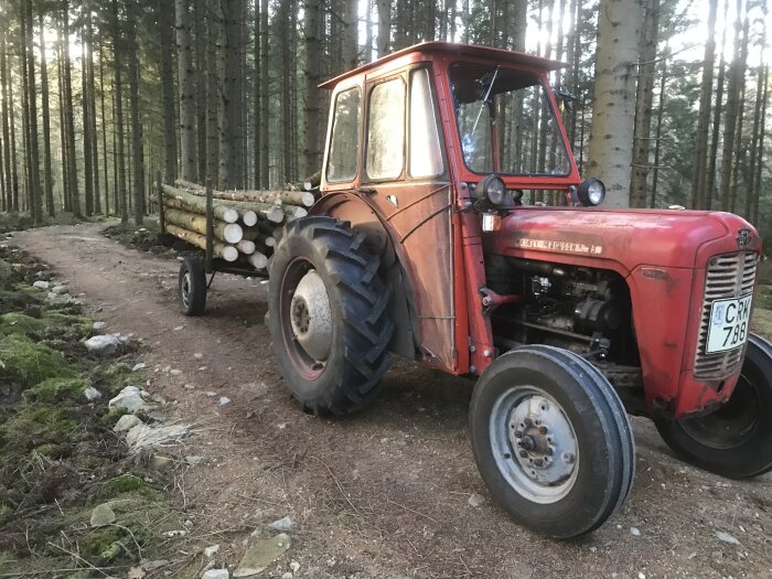 Röd traktor med släp fullt av stockar på en skogsväg omgiven av tallar.