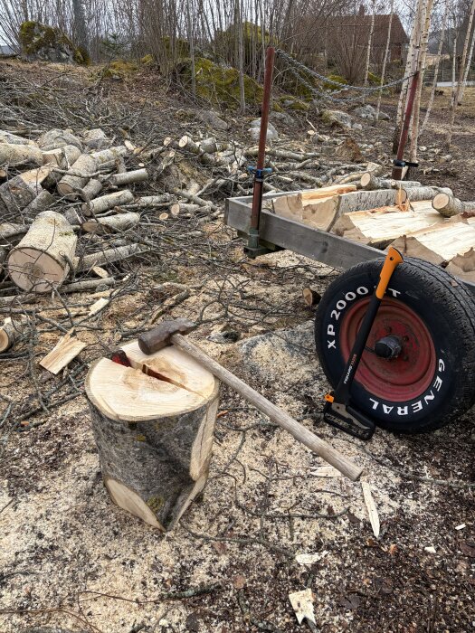 Vedklyvning pågår med yxa och vedträ, staplad ved i bakgrunden och släpvagn för transport.