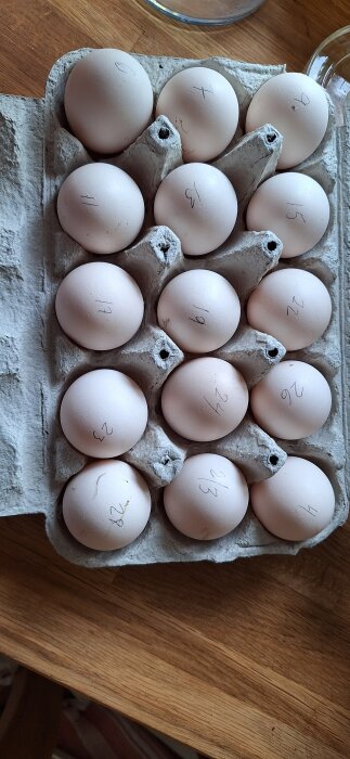 Ägg i ett kartongfack, numrerade med blyerts, placerade på ett träbord.