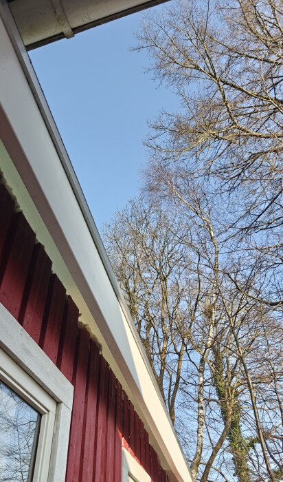 Takutsprång på rött hus med avrinning, blå himmel och träd utan löv i bakgrunden.