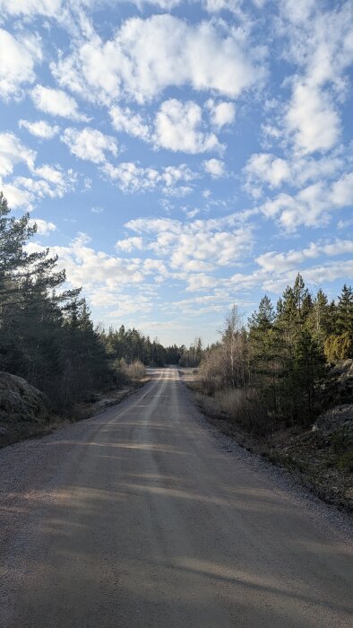 Grusväg genom skog med träd på båda sidor under en klarblå himmel med vita moln.