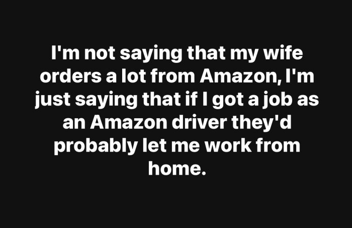 Text på bild: "I'm not saying that my wife orders a lot from Amazon, I'm just saying that if I got a job as an Amazon driver they'd probably let me work from home.