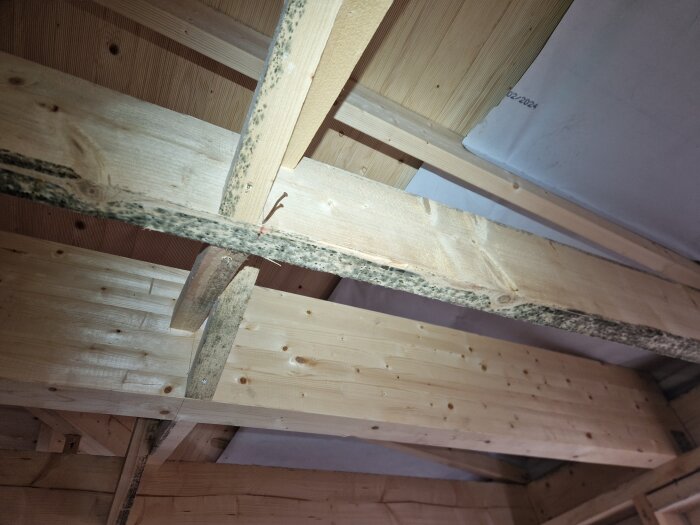 Trätak med fuktfläckar och mögel på bjälkarna i ett pågående byggprojekt.
